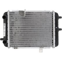 Radiator, racire motor - Nissens-60363