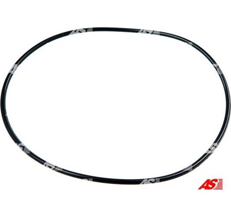 Chit reparatie, alternator - AS-PL-SRS0088