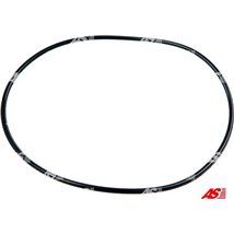 Chit reparatie, alternator - AS-PL-SRS0088