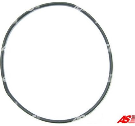 Chit reparatie, alternator - AS-PL-SRS0091