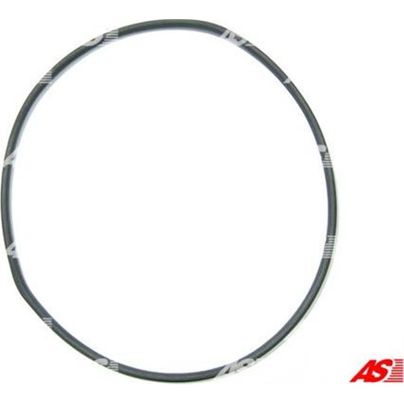 Chit reparatie, alternator - AS-PL-SRS0091