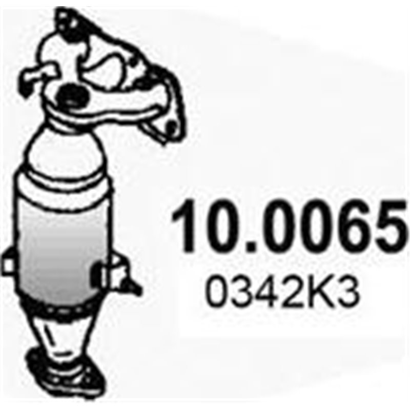 Catalizator - ASSO-10.0065