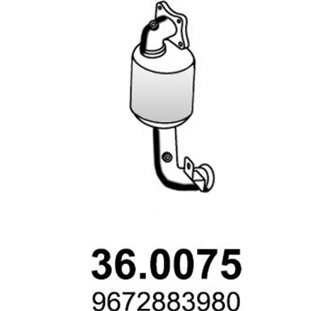 Catalizator - ASSO-36.0075