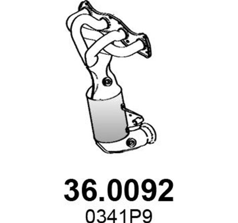 Catalizator - ASSO-36.0092