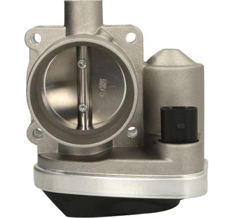 Clapeta acceleratie SEAT AROSA. CORDOBA. CORDOBA VARIO. IBIZA II. IBIZA III. LEON. TOLEDO II. SKODA FABIA I. VW BORA. BORA I. GO