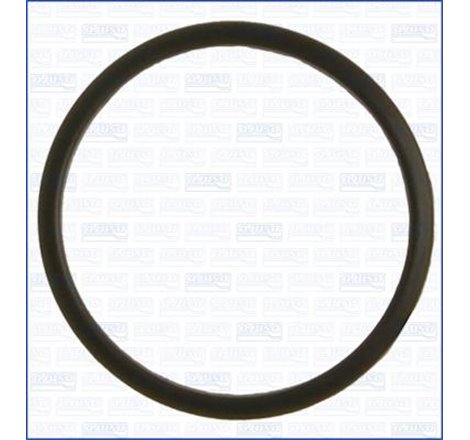 Garnitura termostat - Ajusa-00520000