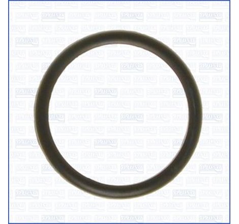 Garnitura termostat - Ajusa-00538100