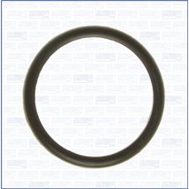 Garnitura termostat - Ajusa-00538100