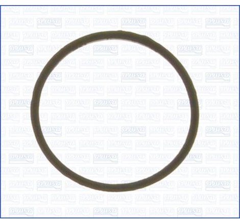 Garnitura termostat - Ajusa-00538300