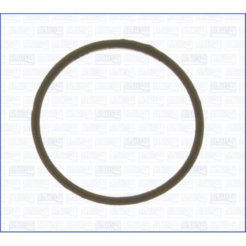 Garnitura termostat - Ajusa-00538300