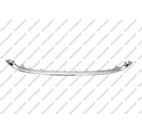 Banda de protectie. grila radiator - Prasco-FT0321245 - Prasco-FT0321245