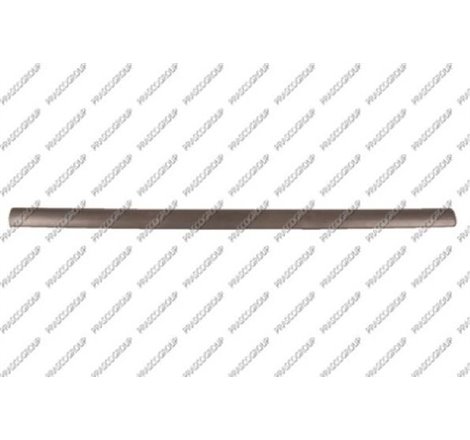 Elemente decorative - protectie. portiera - Prasco-OP0171403 - Prasco-OP0171403