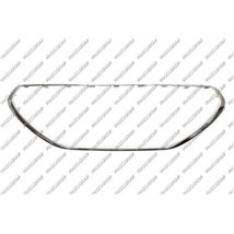 Banda de protectie. grila radiator - Prasco-PG3262206 - Prasco-PG3262206