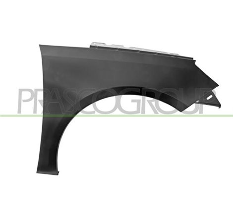 Aripa - Prasco-PG4283013 - Prasco-PG4283013