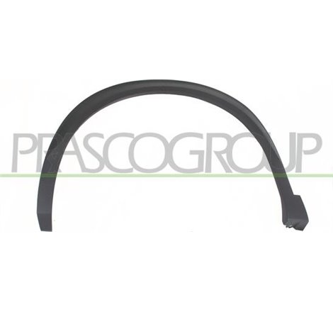 Latire.aripa - Prasco-PG5041582 - Prasco-PG5041582