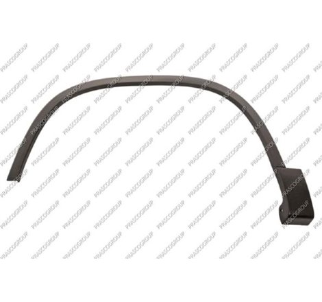 Elemente decorative - protectie. aripa - Prasco-VG8091582 - Prasco-VG8091582