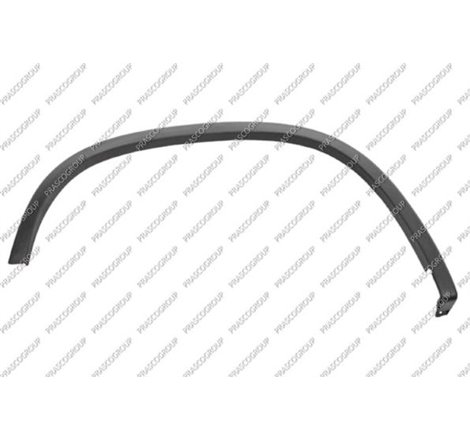 Elemente decorative - protectie. aripa - Prasco-VG8091583 - Prasco-VG8091583