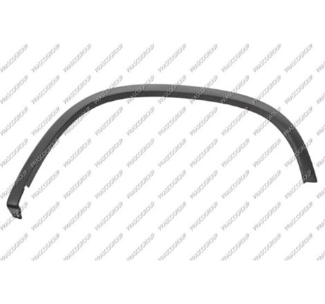 Elemente decorative - protectie. aripa - Prasco-VG8091584 - Prasco-VG8091584