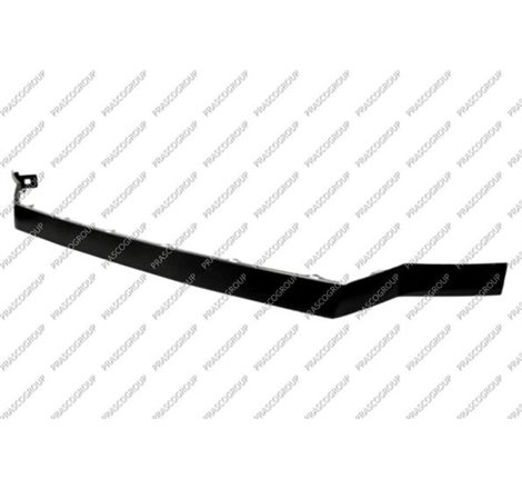 Banda de protectie. grila radiator - Prasco-VG9542305 - Prasco-VG9542305