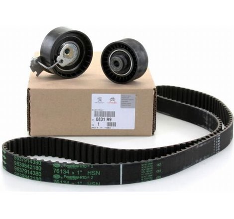 Set curea de distributie - PSA-0831R9