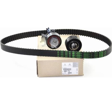 Set curea de distributie - PSA-0831T5