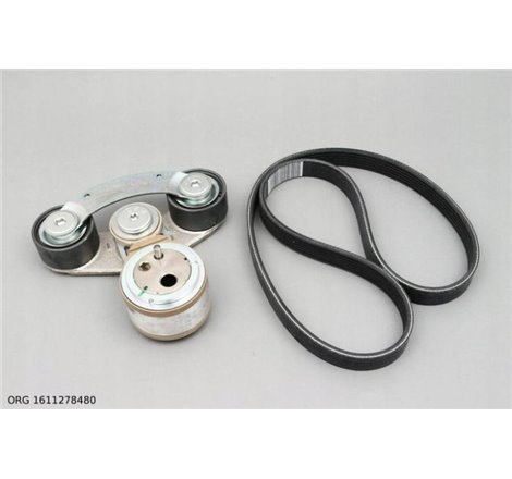 Set curea transmisie cu caneluri - PSA-1611.278480