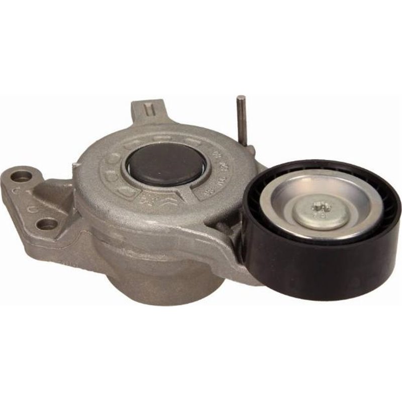 Rola ghidare / conducere, curea distributie - PSA-1616876780