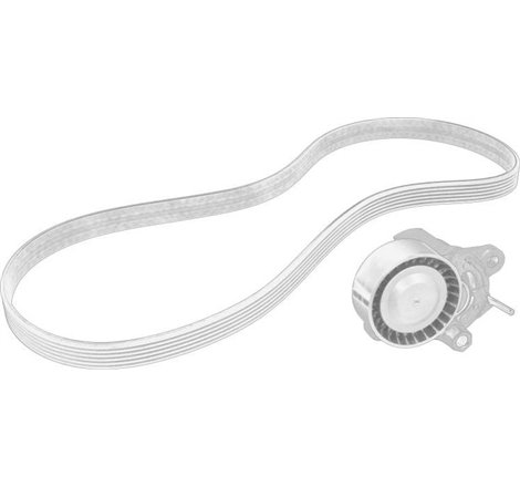 Set curea transmisie cu caneluri - PSA-1631.627780