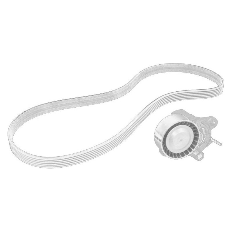 Set curea transmisie cu caneluri - PSA-1631.627780