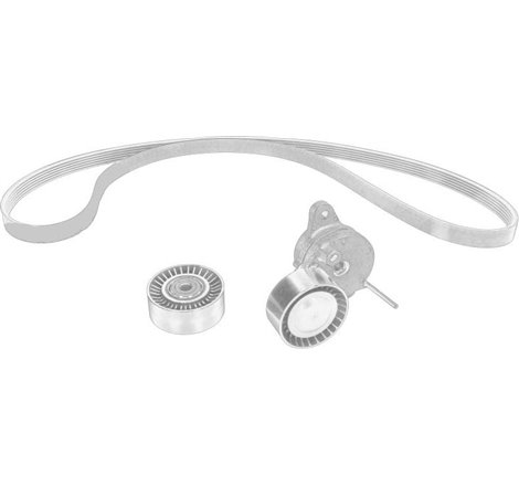 Set curea transmisie cu caneluri - PSA-1638028880