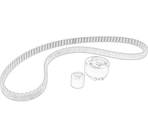 Set curea de distributie - PSA-1654516080