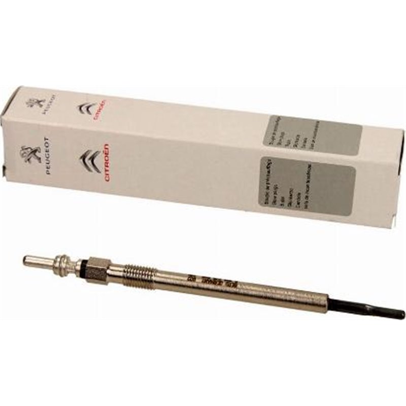 Bujie incandescenta - PSA-5960F8