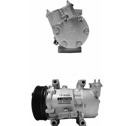 Compresor, climatizare - PSH-090.225.010.876