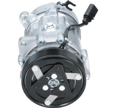 Compresor, climatizare - PSH-090.305.054.876