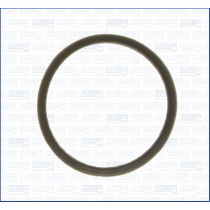 Garnitura termostat - Ajusa-00843000