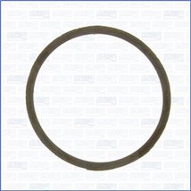 Garnitura termostat - Ajusa-00963000