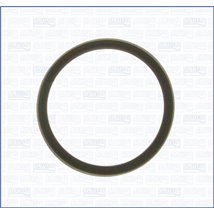 Garnitura termostat - Ajusa-00975700