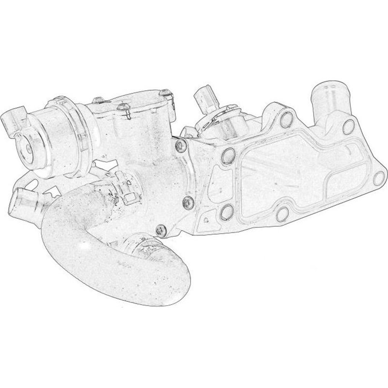 Flansa lichid racire - RENAULT-110601560R