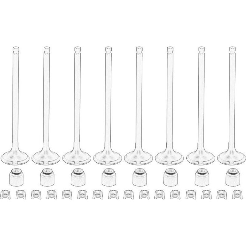 Supapa evacuare - RENAULT-132028257R