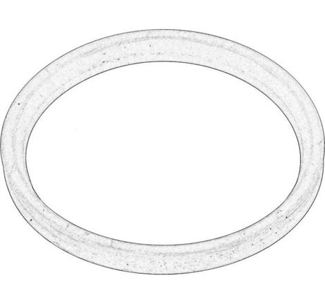 Inel etansare, furtun aer supraalimentare - RENAULT-144655950R