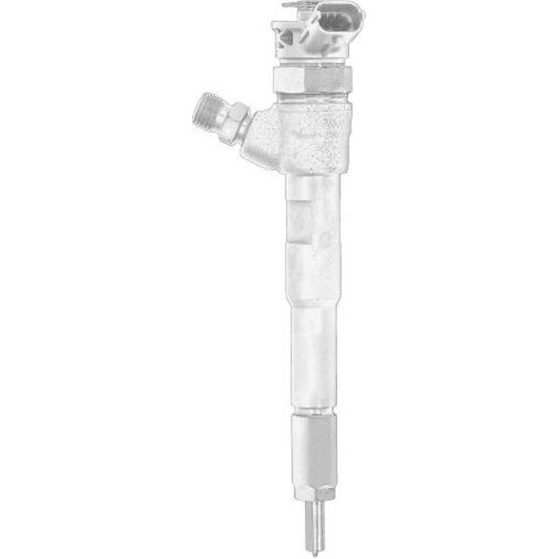 Portinjector - RENAULT-166008399R