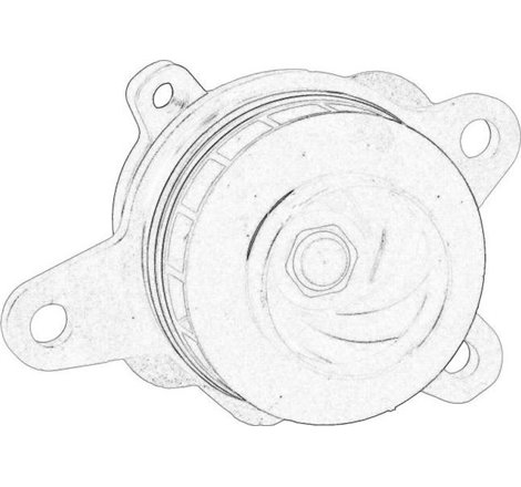 Pompa apa - RENAULT-210101687R