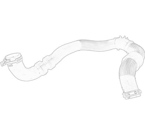 Furtun radiator - RENAULT-215013745R