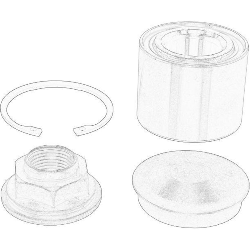 Set rulment roata - RENAULT-432106434R