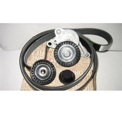 Set curea transmisie cu caneluri - RENAULT-7701476645