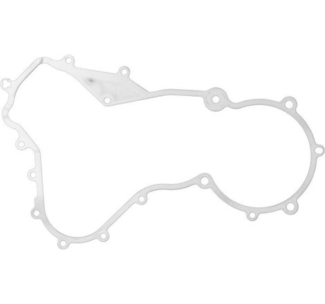 Garnitura, distributie - RENAULT-8200265414