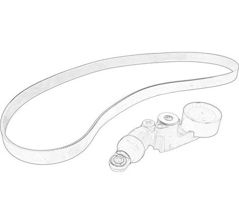 Set curea transmisie cu caneluri - RENAULT-8201719296