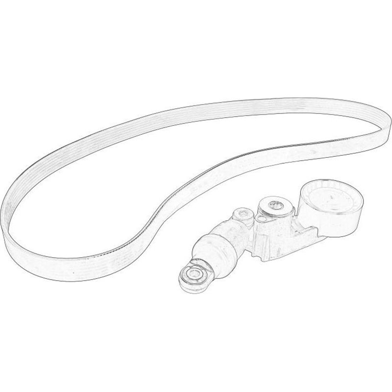 Set curea transmisie cu caneluri - RENAULT-8201719296