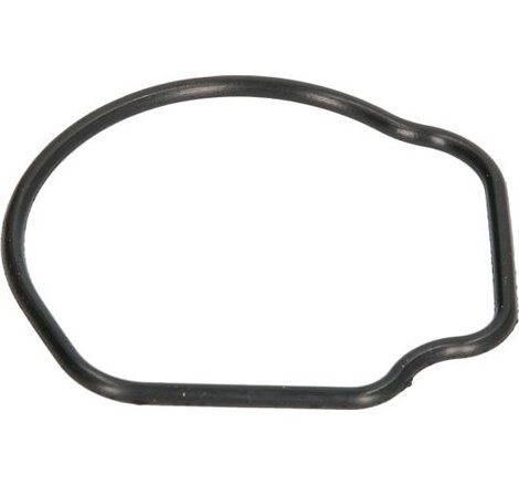 Garnitura termostat - Ajusa-01096800