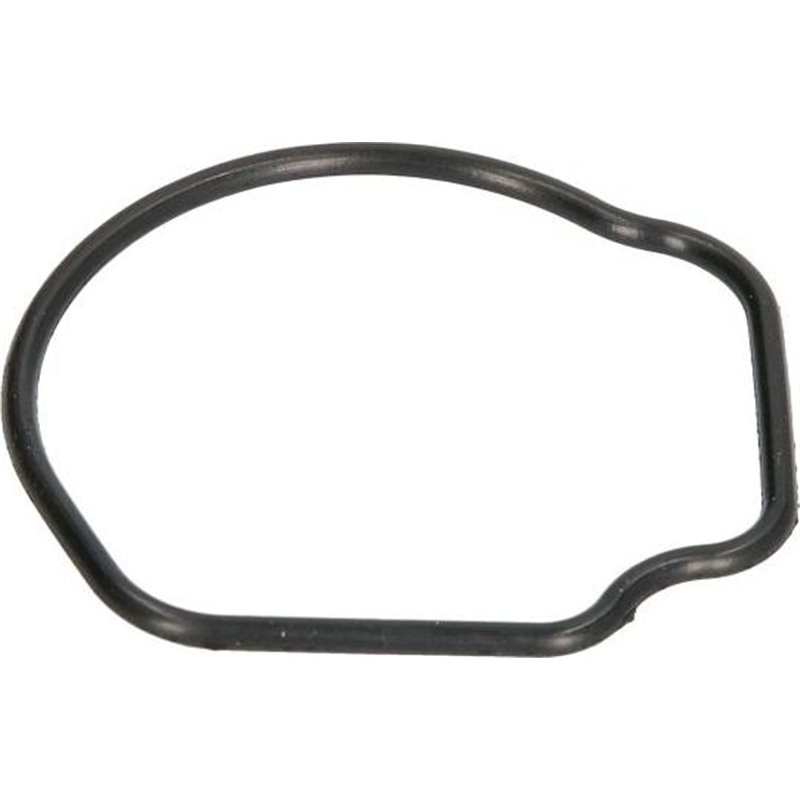 Garnitura termostat - Ajusa-01096800